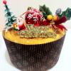 2011xmaschiffon